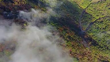 4K高清航拍云雾森林视频的预览图